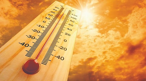 Heatwave pregnancy risks |