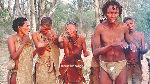 San community DNA study | 