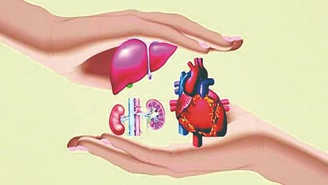 Organ Transplant