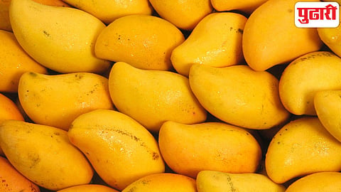 Mangoes