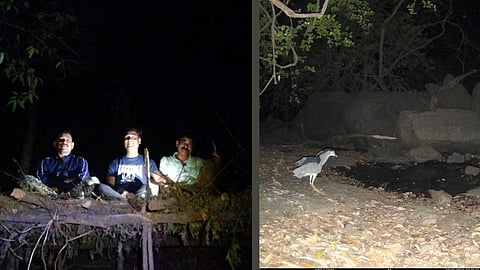 Karnala Bird Sanctuary rare birds