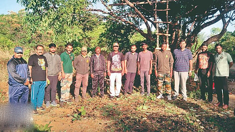Radhanagari Wildlife Sanctuary | 