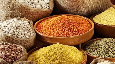 Grain - Pulses Storage | असे धान्य साठवाल तर वर्षभर नाही होणार खराब!