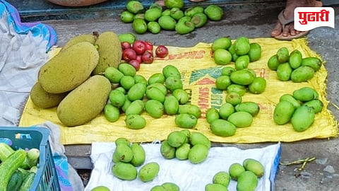Raw Mango Price