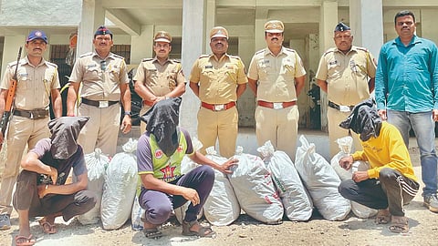 Satara Theft: तांब्याची तार चोरणारी टोळी पोलिसांकडून गजाआड