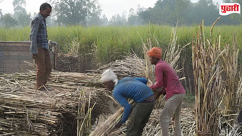 Sugarcane FRP 2026-27