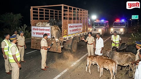 Gotskari Case Dhule 