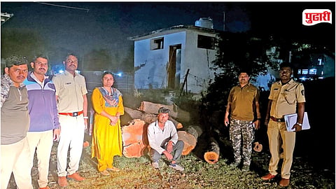 illegal timber seizure