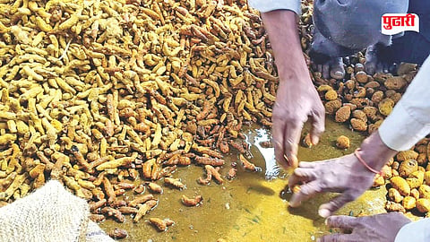 Turmeric wet damage
