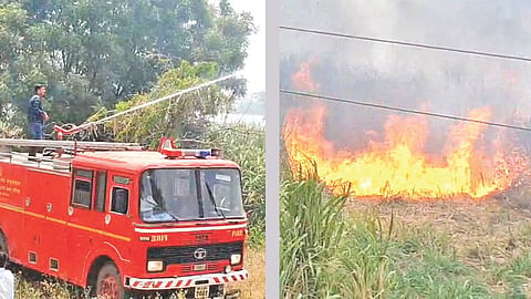Jalna sugarcane field fire
