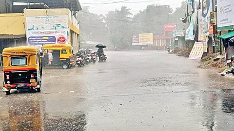Sindhudurg Rain 