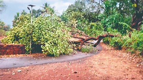 Ratnagiri Rain Update