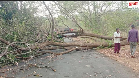 Mangaon storm damage