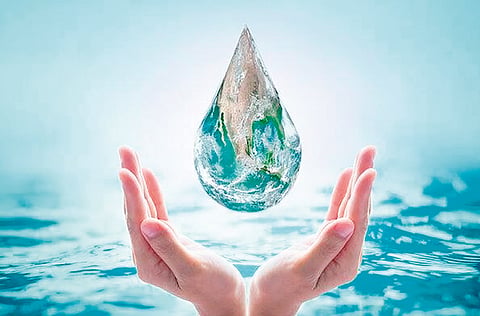 Sustainable future |