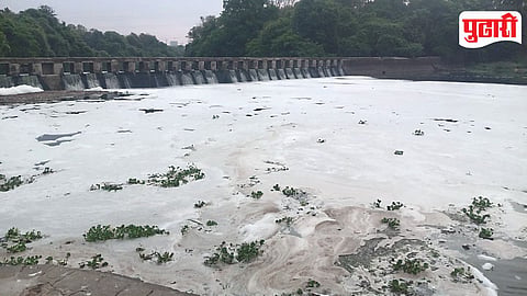 Pavana River Pollution