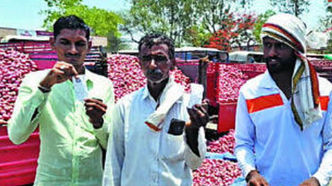 Onion price crash