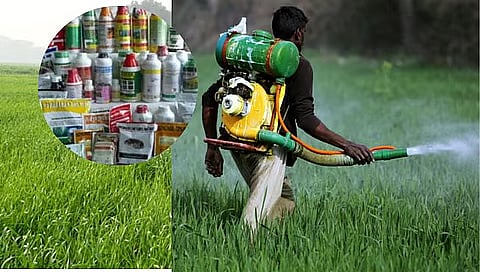 D Pesticide Companies