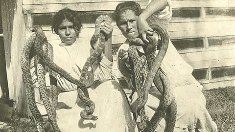 Snake oil history |