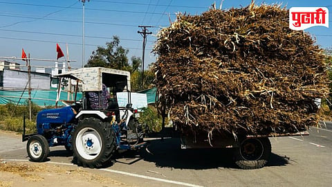 Purandar Drought Fodder