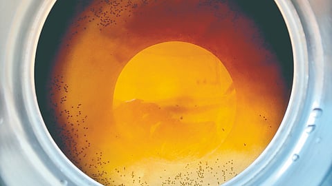 Yellow Water