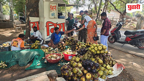 Tadgola fruit Raigad
