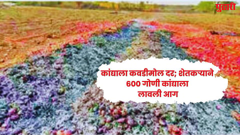 Onion prices fell