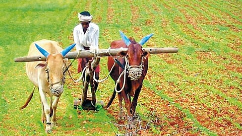 Farmer loan waiver |
