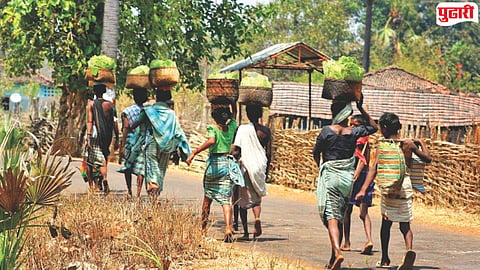 Mumbai tribal caste certificate issue