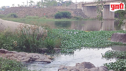 Indrayani River Pollution