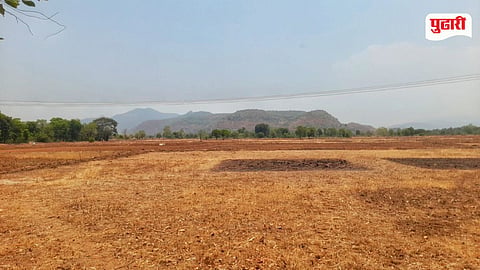 Farming Update