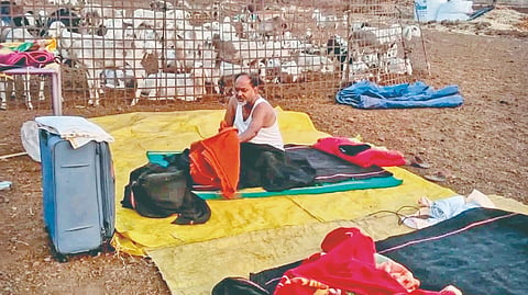 Mahadev Jankar: पांगरीच्या माळरानावर ‌‘माजी मंत्र्यांचा‌’ मुक्काम