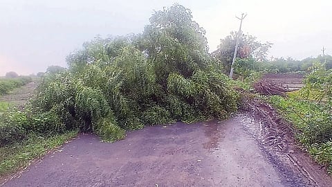  Rajapur Rain News
