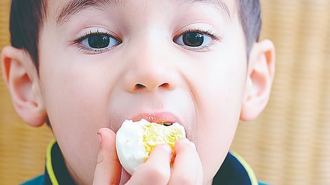 Egg nutrition benefits |