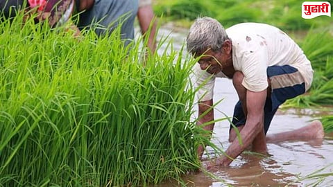 MSP Hike 2026-27