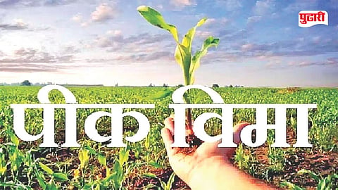 crop insurance farmers