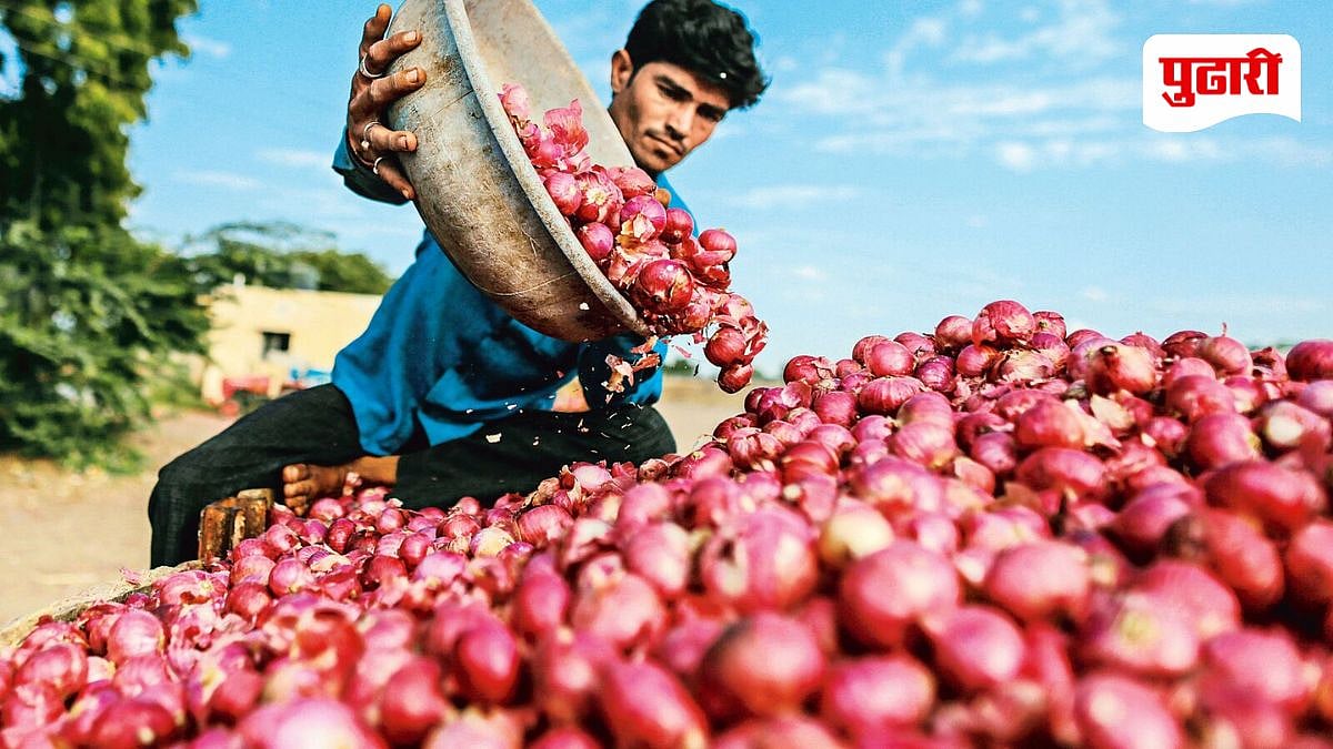 पिंपरी बाजारात कांदा, लसूण, आले तेजीत; लिंबू २०० रुपये किलो
