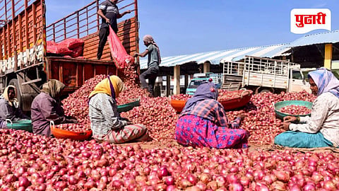Onion Farmers 