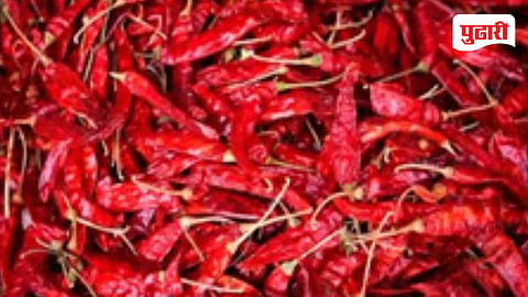 Chilli prices 
