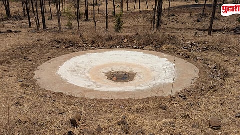 Wildlife Water Crisis