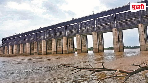 Nanded water crisis | धरण तेलंगणाचे, मरण शेतकऱ्यांचे! १९७५ च्या जाचक पाणी कराराचे पुनर्विलोकन करा; अभ्यासकांची मागणी
