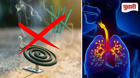 national dengue day |रोगापेक्षा इलाज भयंकर, डेंग्यूपेक्षा अनधिकृत मच्छर अगरबत्त्या आरोग्याला धोकादायक; 70 टक्के डॉक्टरांचा इशारा