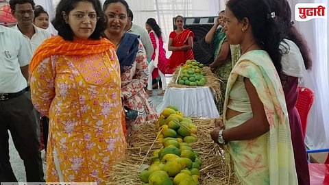 organic mangoes Chandrapur