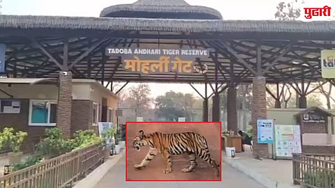 Tadoba Tiger Reserve