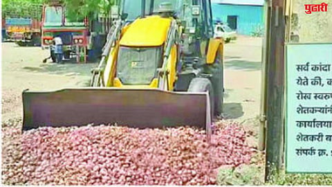 Low price of onion
