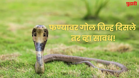 Chandranaag Snake