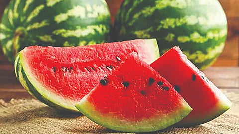 Watermelon history | 