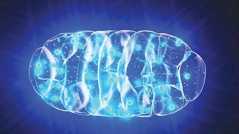 Alzheimer treatment research | 