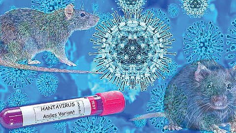 Hantavirus vaccine | 