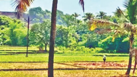 Sindhudurg Mini Kashmir