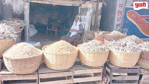 Dry Fish Price